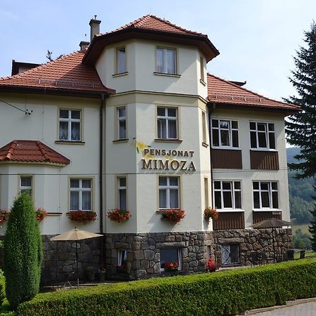 Pensjonat Mimoza Świeradów-Zdrój エクステリア 写真